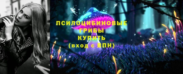 соль ск Михайловск